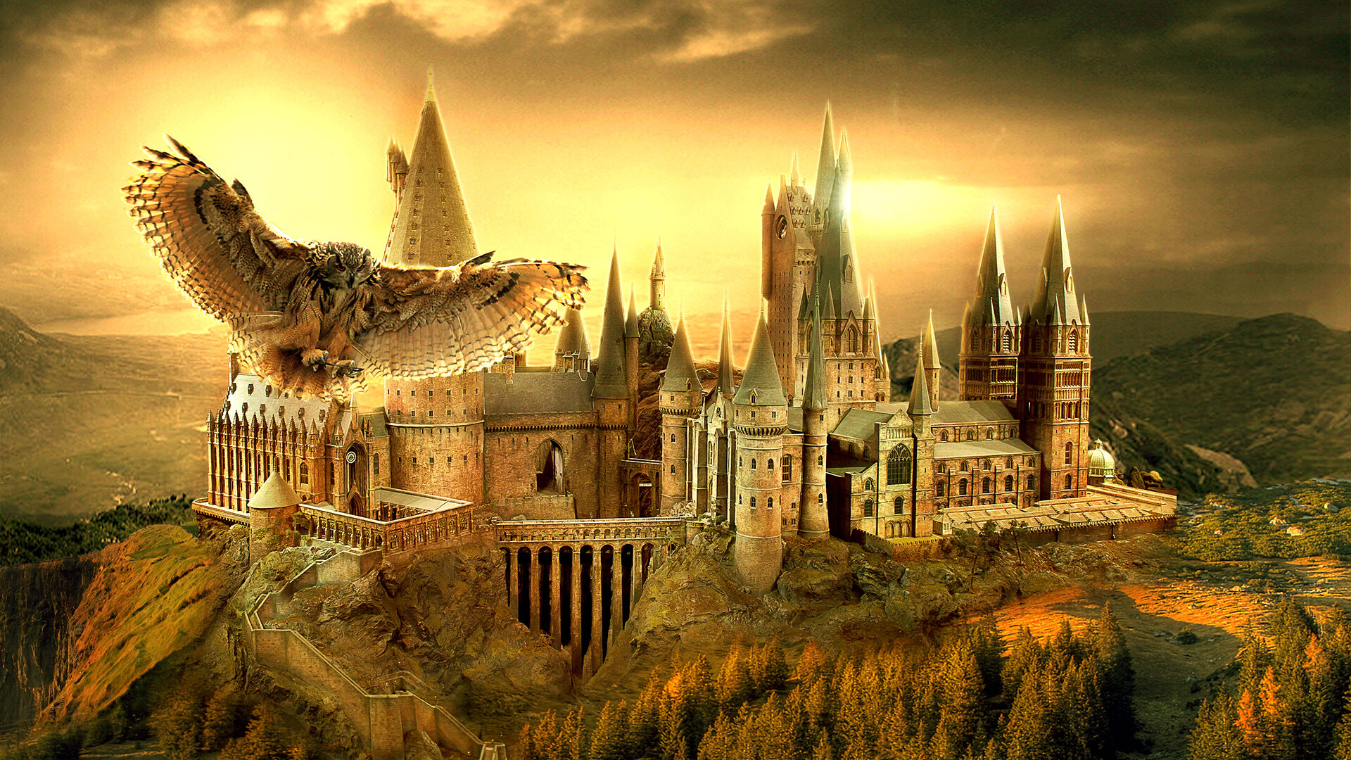 hogwarts legacy pc kopen